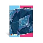 Classmate Notebook – 240mm x 180mm, Soft Cover, Single Line (Pack of 12)