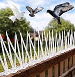 XONOV Bird and Pigeon Spikes, Pigeon Control Spikes Anti Bird Plastic Spikes for AC Balcony Railing Window Home Protection from Pigeon Dog Monkey Crow Kabootar Transparent (Pack of 10 (13 Inch))