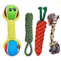 The Pets Company Dog Chew Toys for Puppy Teething & Training (Dummy +