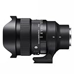 Sigma 15mm f/1.4 Fisheye DG DN Art Lens for Sony E Mount Mirrorless Camera Lens