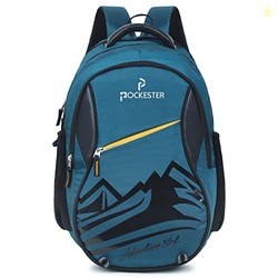 Large 35 L Laptop Office College Unisex Backpack with rain cover (Comp