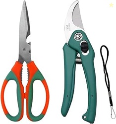 Ocean Mart Combo - Hand Pruner Cutter (1 Pc) & Gardening Scissors (1 P