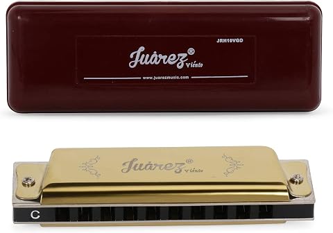 JUAREZ JRH10VGD Harmonica 10 Holes | Mouth Organ | Cover  Stainless St