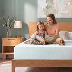 Zinus 8-inch Green Tea Foam Mattress Queen,Pressure Relieving Comfort,