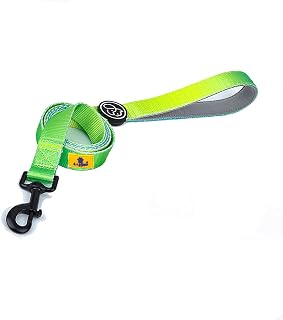 A+a Pets' Nylon Waterproof Leash | Neoprene Padded Handle for Dogs & C