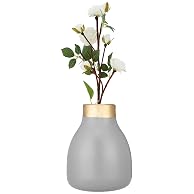 Amazon Brand - Solimo Flower Vase with Rust-Resistant Coating | Stylis