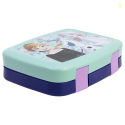 STRIDERS BentoPro Frozen Sandwich Box for Kids  Leak-Resistant Divider