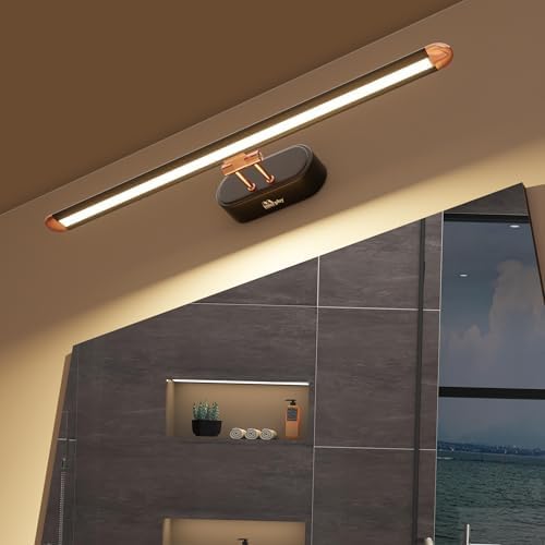 6W 3-in-1 Color Chnaging Black Rose Gold Finish LED Mirror Picture Wal