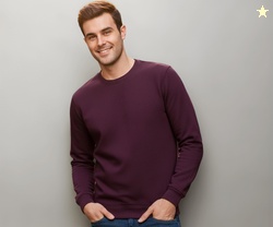 Neostreak Men's Fleece Round Neck Regular Fit Sweatshirt (Neoswtsol-01