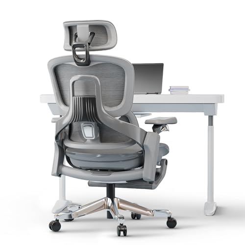 DROGO Mesh Ergo Flow Luxury Ergonomic Office Chair for Work from Home