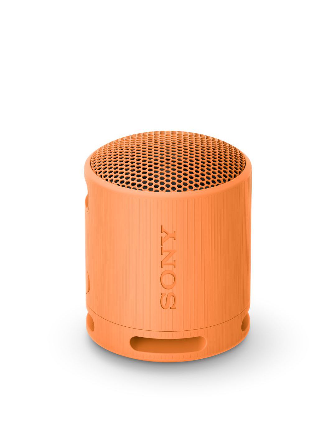 Sony SRS-XB100 Wireless Bluetooth Portable Lightweight Super-Compact T