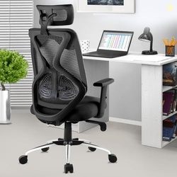 ASTRIDE Ergofit Ergonomic Office Chair for Home | 3-Years Warranty | 2