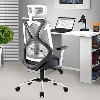 ASTRIDE Ergofit Ergonomic Office Chair for Home | BIS Certified | 2D H