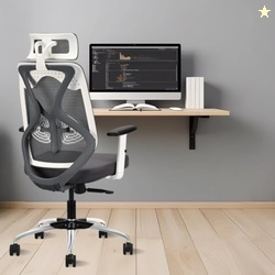 IAFA FURNITURE Ergolux High Back Ergonomic Office & Study Chair | 3 Ye
