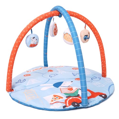 TIDY SLEEP Baby Play Gym | Activity Play Gym with 4 Detachable Toys, |