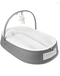 Sweet Retreat 2-Stage Baby Lounger