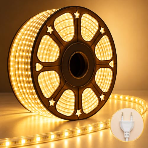 Desidiya 20 Meter LED Rope Light Warm White for Diwali Decoration | Fl