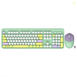ZEBRONICS Zeb-Companion 301 (Garden) Wireless Standard Desktop Keyboar