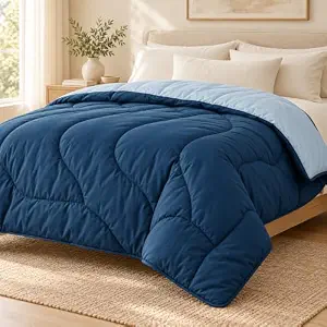 BSB HOME Microfibre All Season/AC/Summer Solid Reversible Double Bed C