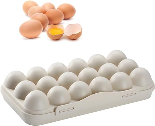 OCEANAUR Protective Egg Storage Box for Refrigerator | Durable Plastic