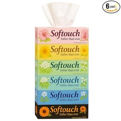 Softouch 2 Ply Facial Tissue Box 100 Pulls Each Pack (200 Sheets) Pack