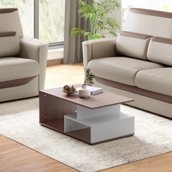 Interio by Godrej Coffee Table EWA Engineered Wood Coffee Table, 1-Yea