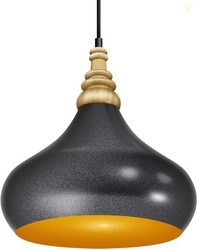 Wipro BeuHome BP02 Premium Indoor Decorative Light with Contempor...mo