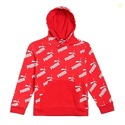 Boys Cotton Hooded Sweatshirt