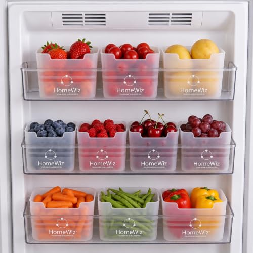 HomeWiz Fridge Storage Containers 850ml x10| Storage Container Set | F