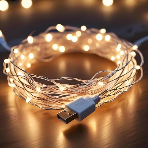Lexton 10 m Led Copper String Light | USB Sourced | Warm White | for I