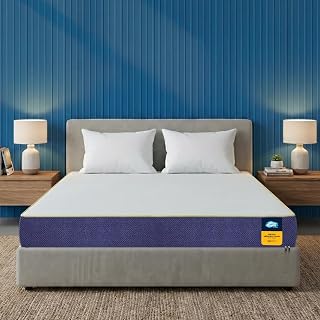 Sleepables 6-Inch King Size Orthopedic Memory Foam Back Support Pressu
