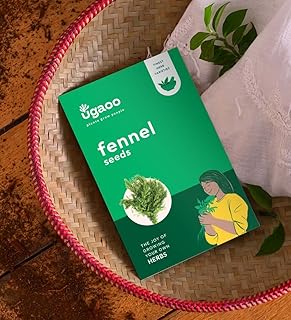 UGAOO Fennel Herb Seeds (Green, Pack of 400) UGAOO Fennel Herb Seeds (