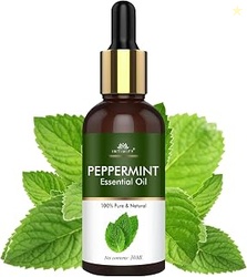 INTIMIFY Peppermint Oil, Peppermint Essential Oil, For Rats, Hair Grow