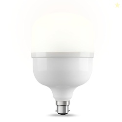 Bajaj Ivora High Wattage Led Lamp 30W | Cool Day Light | Energy Effici