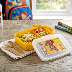 Nayasa Ninja 2 Compartment BPA-Free Plastic Lunch Box for Kids Boys |