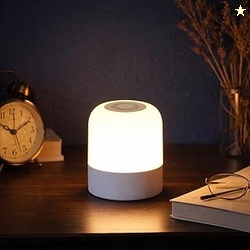 One94Store Oval Shaped LED Table Lamp  USB Rechargeable Touch Night Li