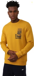 REEBOK Full Sleeve Printed Men Sweatshirt