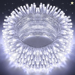 MPROW 40 LEDs 11 m White Steady Bulb Rice Lights