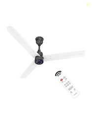 Polycab Wizzy Plus 2.0 LED100% CopperHigher Air DeliveryLED Indicator